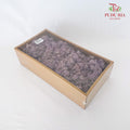 Preservative Reindeer Moss - Purple - Pudu Ria Florist Southern