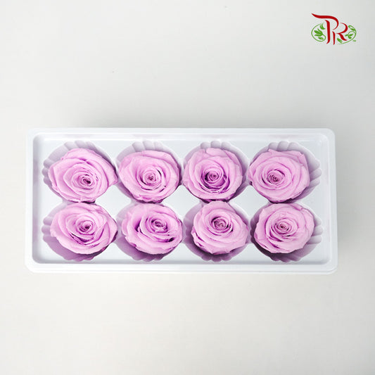 8 Bloom Preservative Rose - Lilac - Pudu Ria Florist Southern