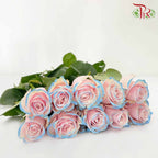 Rose Mondial Dyed Pink Horizont (8-10 Stems) - Pudu Ria Florist Southern