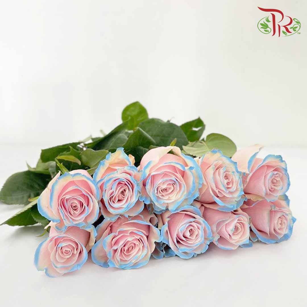 Rose Mondial Dyed Pink Horizont (8-10 Stems) - Pudu Ria Florist Southern