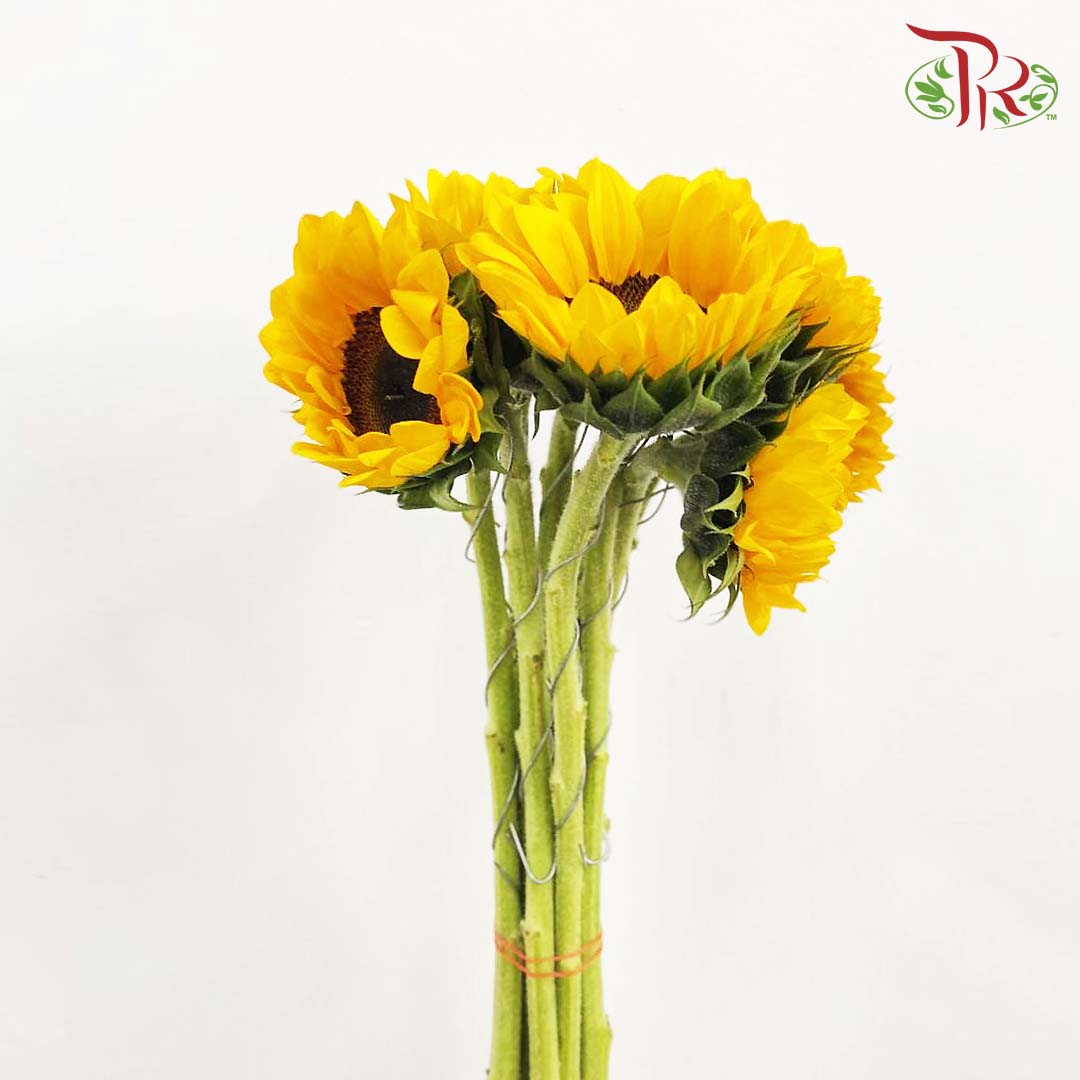 Sunflowers (5 Stems) - Pudu Ria Florist Southern