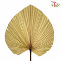 Livistone Dry Cut (XL) - Pudu Ria Florist Southern