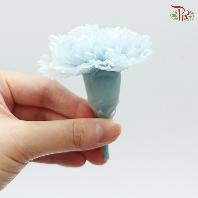Preservative Carnation (8 Blooms) Blue - Pudu Ria Florist Southern