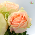 Rose Gravity (8-10 Stems) - Pudu Ria Florist Southern