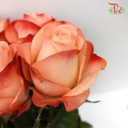 Rose Emotion (8-10 Stems) - Pudu Ria Florist Southern