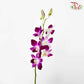 Dendrobium Orchid Purple / 5 Stems (L)