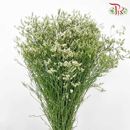 Caspia White - Pudu Ria Florist Southern
