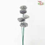 Dry Aeschynomene (Big) - Grey - Pudu Ria Florist Southern