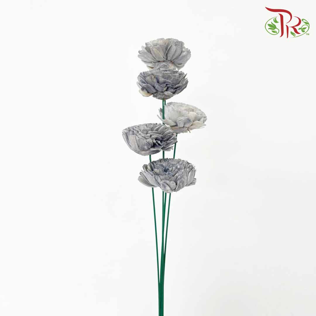 Dry Aeschynomene (Big) - Grey - Pudu Ria Florist Southern