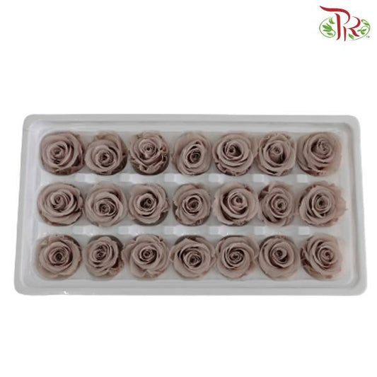 21 Bloom Preservative Rose - Light Brown - Pudu Ria Florist Southern