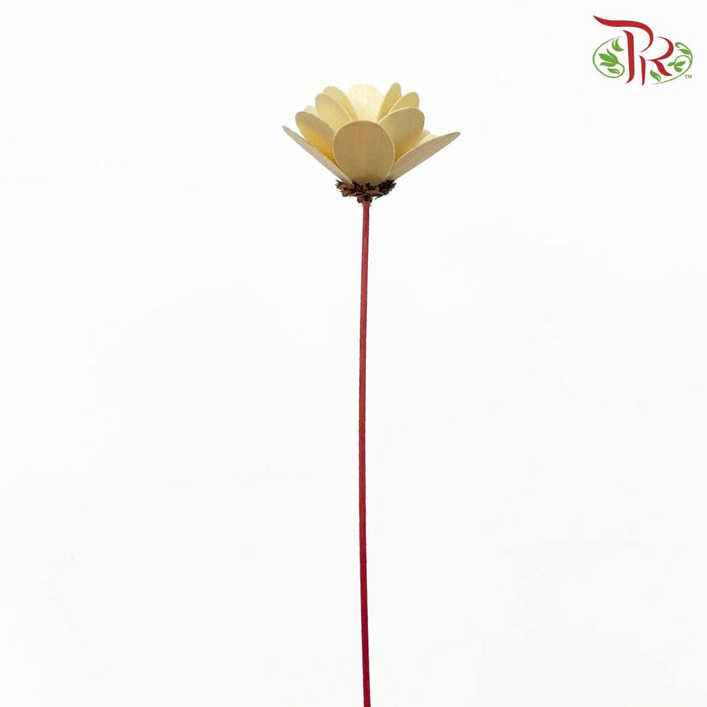 Dry Wood Rose - Yellow - Pudu Ria Florist Southern