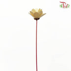 Dry Wood Rose - Yellow - Pudu Ria Florist Southern