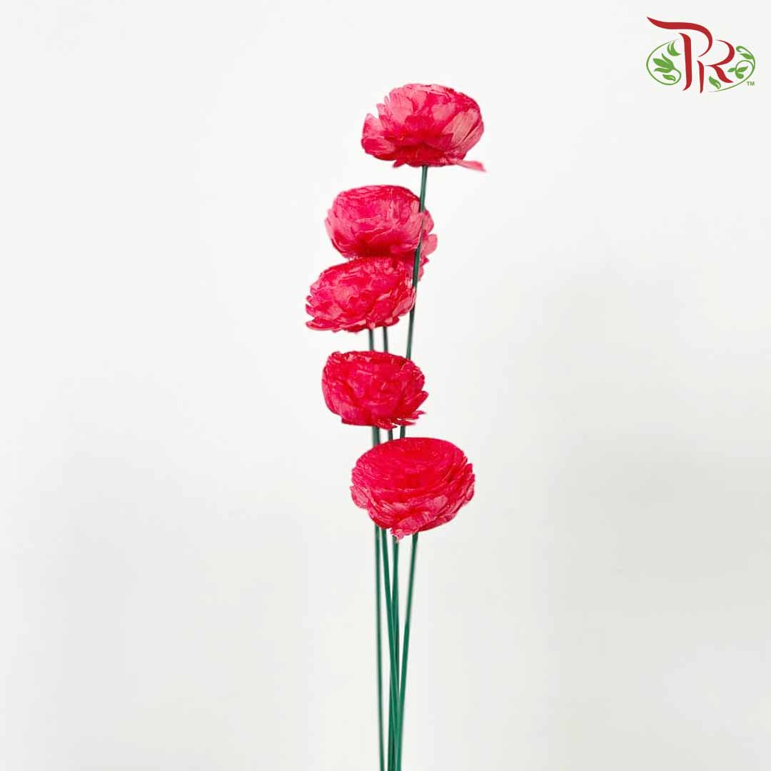 Dry Aeschynomene Aspera - Red - Pudu Ria Florist Southern