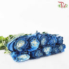 Rose Mondial Dyed Milky Way (8-10 Stems) - Pudu Ria Florist Southern