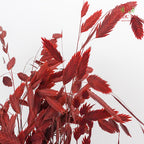 Dry Chasmanthium - Red - Pudu Ria Florist Southern