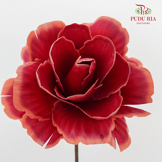 Dry Asia Peony - Red - Pudu Ria Florist Southern