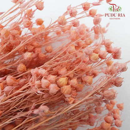 Dry Acacia Mimosa - Red - Pudu Ria Florist Southern