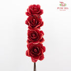 Dry Asia Peony - Red - Pudu Ria Florist Southern