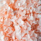 Preservative Hydrangea - Red Champagne / Per Stem - Pudu Ria Florist Southern