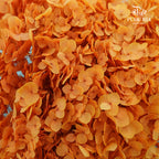 Preservative Hydrangea - Red Coffee / Per Stem - Pudu Ria Florist Southern