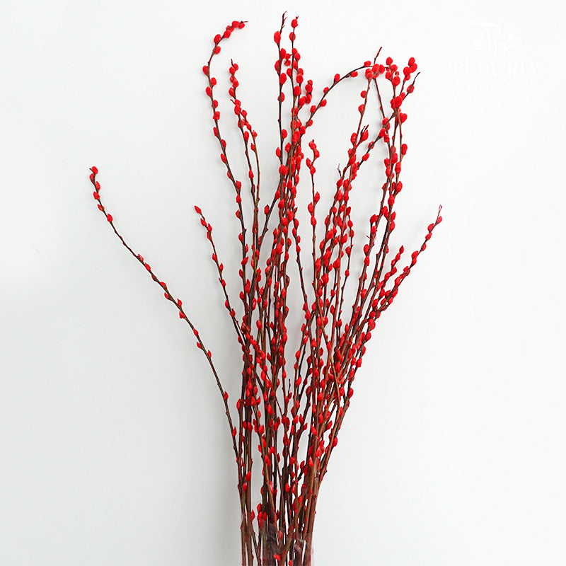 银柳分枝 Red Pussy Willow Spray - Pudu Ria Florist Southern