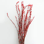 银柳分枝 Red Pussy Willow Spray - Pudu Ria Florist Southern