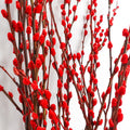银柳分枝 Red Pussy Willow Spray - Pudu Ria Florist Southern