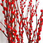 银柳分枝 Red Pussy Willow Spray - Pudu Ria Florist Southern