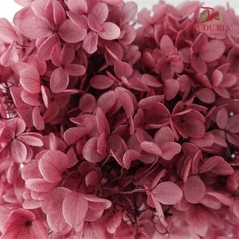 Preservative Hydrangea - Red Wine - Pudu Ria Florist Southern