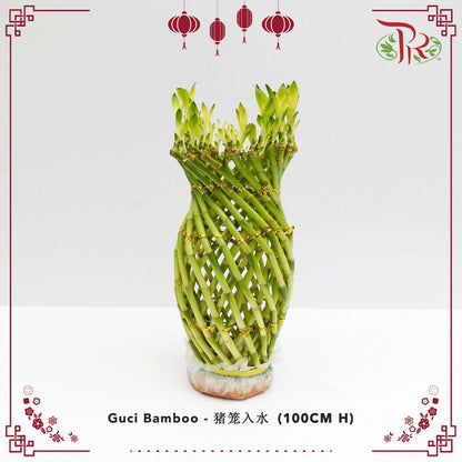 Guci Bamboo (猪笼入水) - 100CM (H) - Pudu Ria Florist Southern