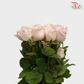 Rose Pink Avalanche (19-20 Stems)