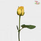 Rose Orange/Yellow (19-20 Stems) - Pudu Ria Florist Southern