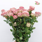 Rose Spray Tender Treasure (8-10 Stems) - Pudu Ria Florist Southern