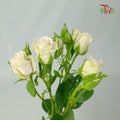 Rose Spray Soft Pink (8-10 Stems) - Pudu Ria Florist Southern