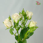 Rose Spray Soft Pink (8-10 Stems) - Pudu Ria Florist Southern