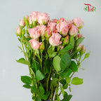 Rose Spray Pink (8-10 Stems) - Pudu Ria Florist Southern