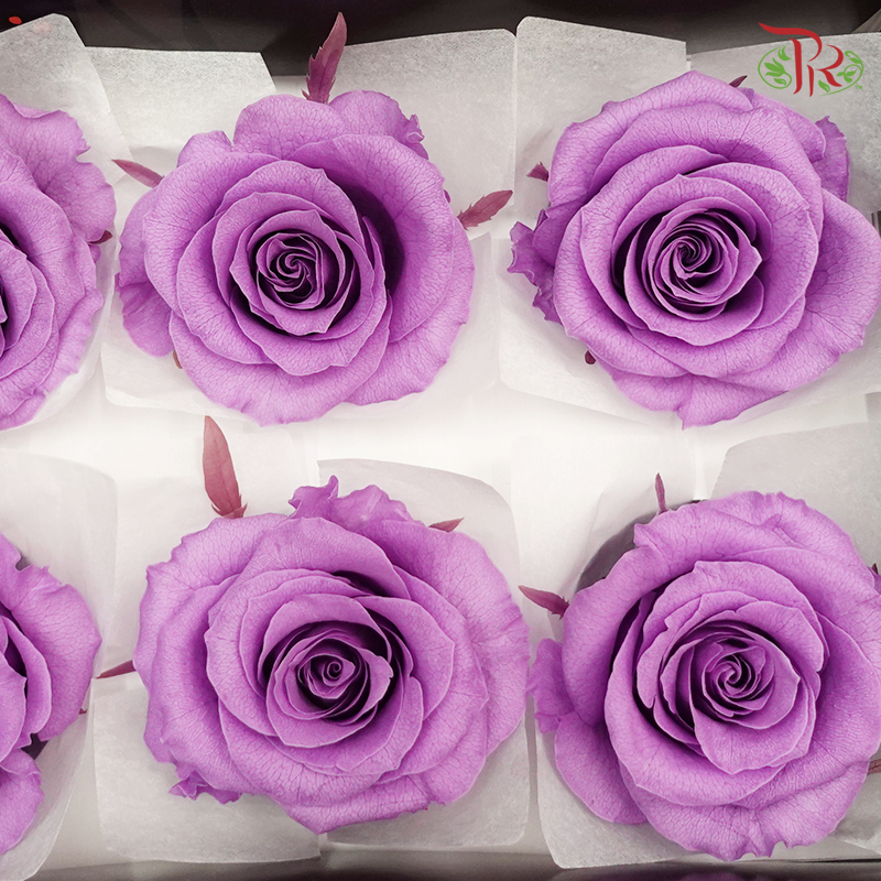 Preservative Full Bloom Rose (6 Blooms) - Purple - Pudu Ria Florist Southern