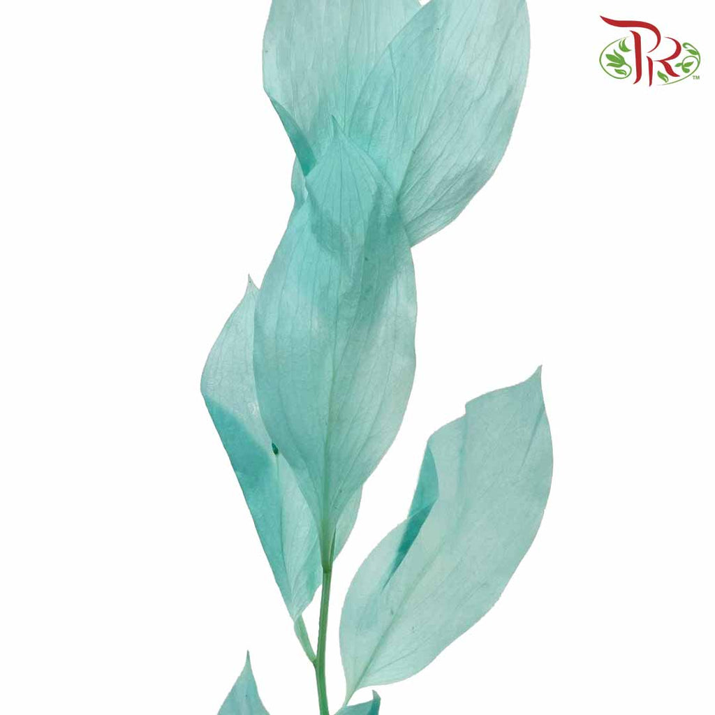 Dry Orange Leaf - Blue - Pudu Ria Florist Southern