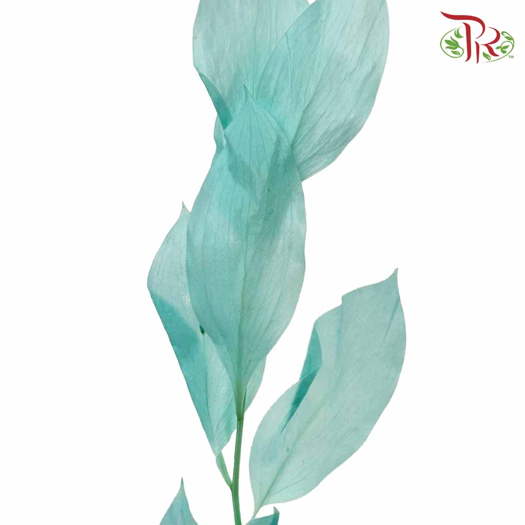 Dry Orange Leaf - Blue - Pudu Ria Florist Southern