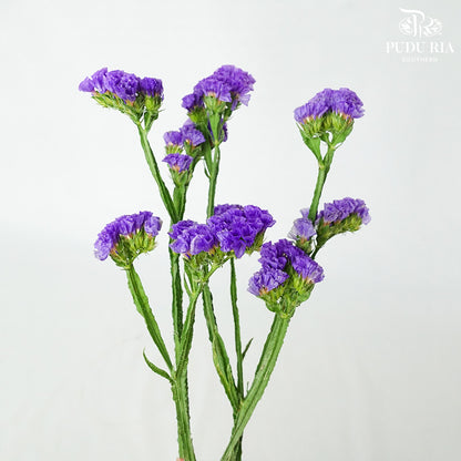Statice Purple - Pudu Ria Florist Southern