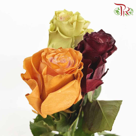 Rose Fall Mix3 (8-10 Stems) - Pudu Ria Florist Southern