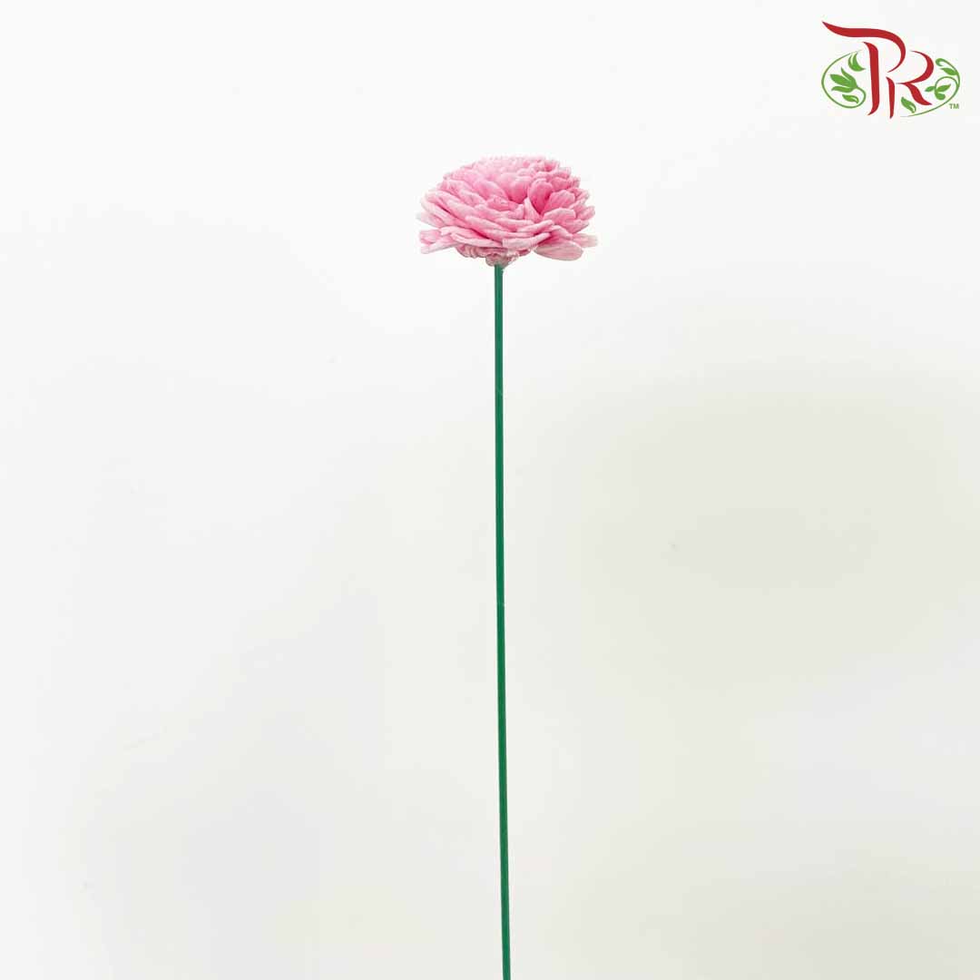 Dry Aeschynomene Aspera - Pink - Pudu Ria Florist Southern