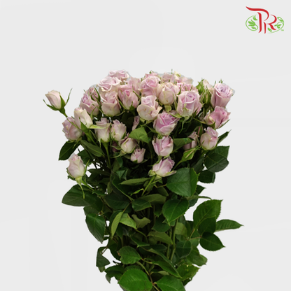 Rose Spray Shadow (8-10 Stems) - Pudu Ria Florist Southern