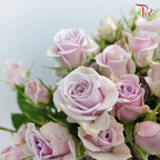 Rose Spray Shadow (8-10 Stems) - Pudu Ria Florist Southern