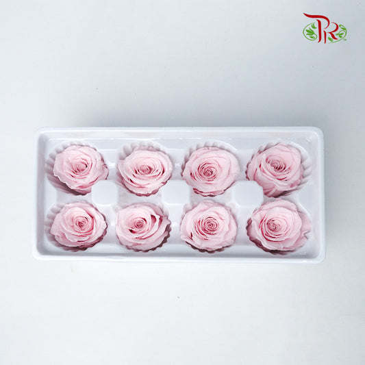 8 Bloom Preservative Rose - Soft Pink - Pudu Ria Florist Southern
