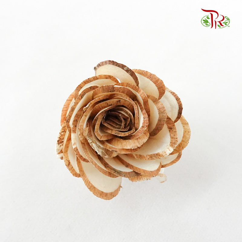 Sola Dahlia Mini - Pudu Ria Florist Southern