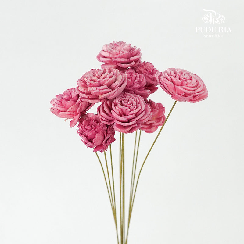 Sola Rose Mini Dark Pink - Pudu Ria Florist Southern