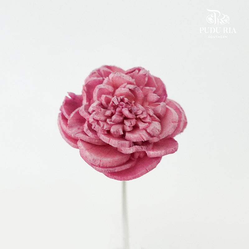 Sola Rose Mini Dark Pink - Pudu Ria Florist Southern