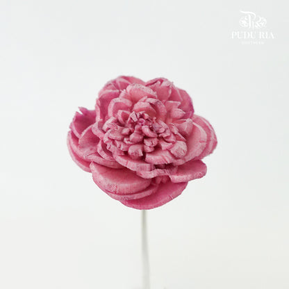 Sola Rose Mini Dark Pink - Pudu Ria Florist Southern