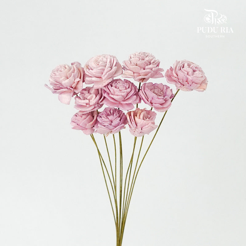 Sola Rose Mini Light Pink - Pudu Ria Florist Southern